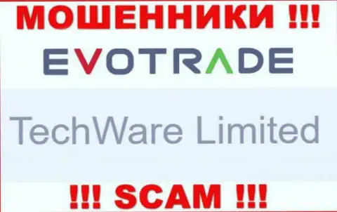 Юридическим лицом ТечВаре Лтд является - TechWare Limited
