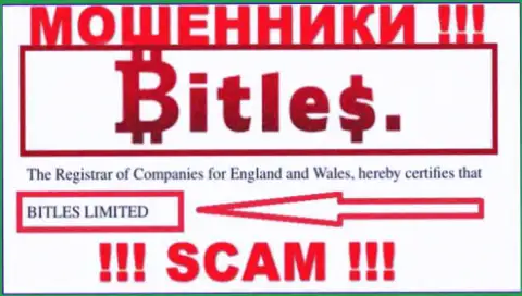 Руководителями Битлес является компания - Bitles Limited