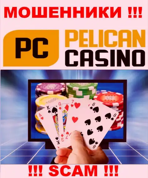 PelicanCasino Games разводят доверчивых людей, прокручивая свои делишки в сфере - Казино