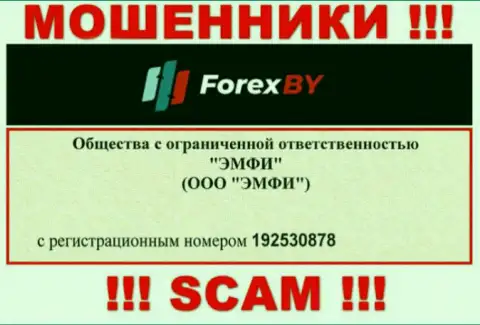 На информационном ресурсе мошенников ForexBY Com предоставлен этот рег. номер данной организации: 192530878