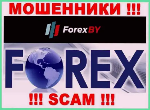 Будьте весьма внимательны, сфера деятельности ForexBY, Форекс - это кидалово !!!