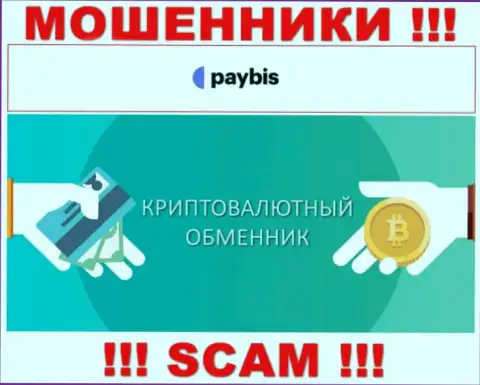 Крипто обменник - это сфера деятельности преступно действующей конторы Paybis LTD