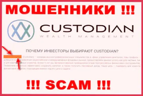 Юридическим лицом, владеющим internet мошенниками ООО Кастодиан, является ООО Кастодиан