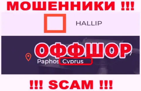 Лохотрон Халлип Ком зарегистрирован на территории - Cyprus