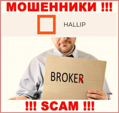 Сфера деятельности интернет-мошенников Hallip Com - это Broker, но помните это развод !
