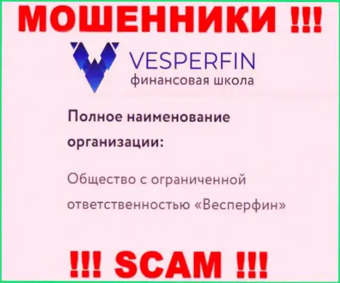 Сведения про юридическое лицо internet мошенников Vesper Fin - ООО Весперфин, не обезопасит Вас от их грязных рук