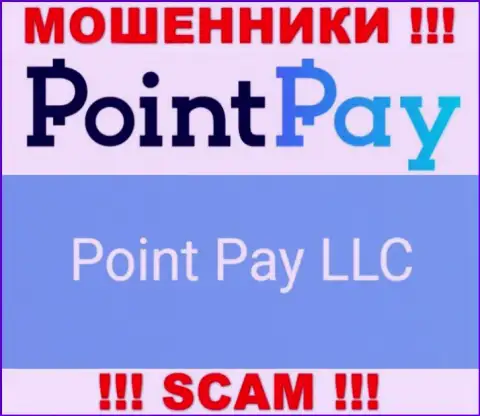 Юр лицо интернет обманщиков Point Pay - это Point Pay LLC, сведения с сервиса мошенников