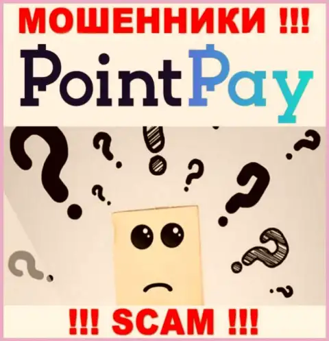 В глобальной сети интернет нет ни единого упоминания о руководстве мошенников Point Pay