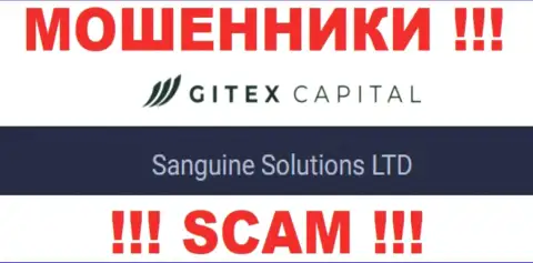Юридическое лицо Gitex Capital - это Sanguine Solutions LTD, такую инфу предоставили лохотронщики у себя на web-сервисе