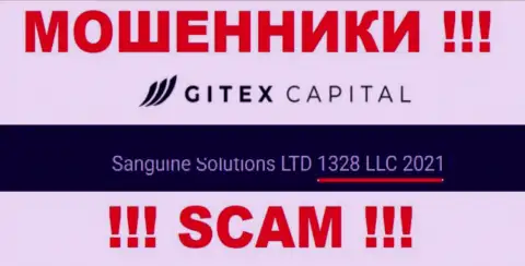 Номер регистрации конторы Gitex Capital - 1328LLC2021