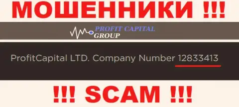 Регистрационный номер ProfitCapital Group, который указан мошенниками у них на сайте: 12833413
