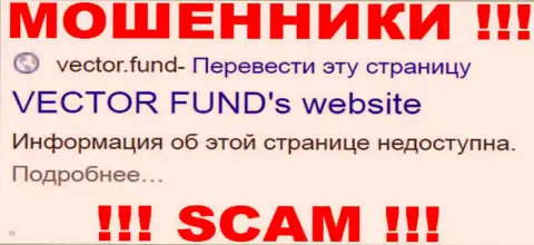 Vector Fund - это МОШЕННИКИ ! СКАМ !!!
